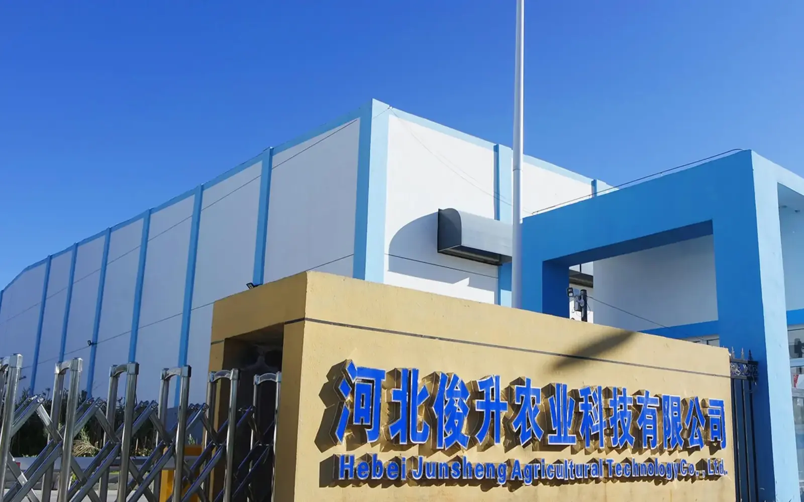 Potato ingredient production facility in Hebei, China